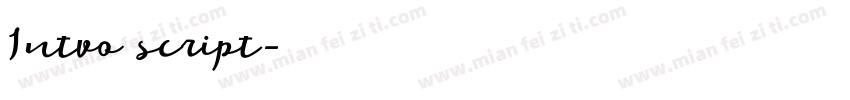 Intvo script字体转换